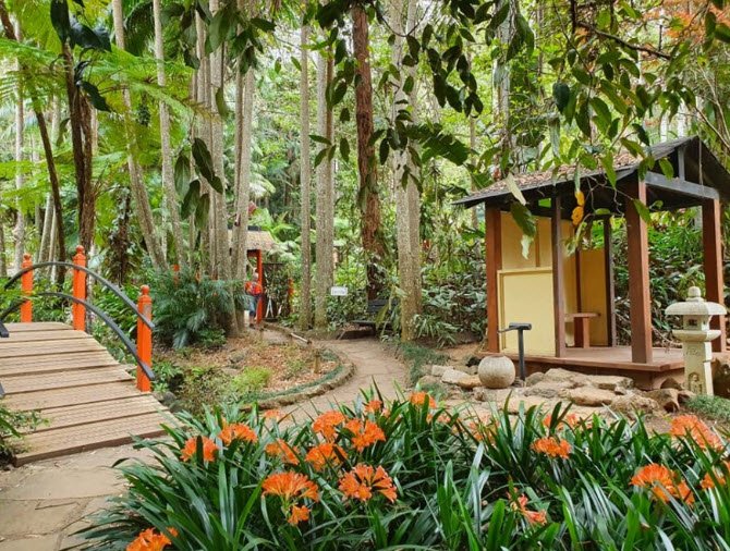 Tamborine Mountain Regional Botanic Gardens, Mount Tamborine, Australia, Australia